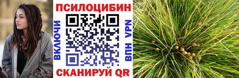 Галлюциногенные грибы Magic Shrooms blacksprut вход Фокино